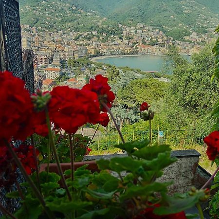 Sunrise Villa Rapallo Exterior photo